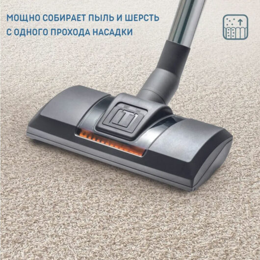 Thomas Aqua+ Pet&Family Parquet Pro - многофункциональный моющий ...